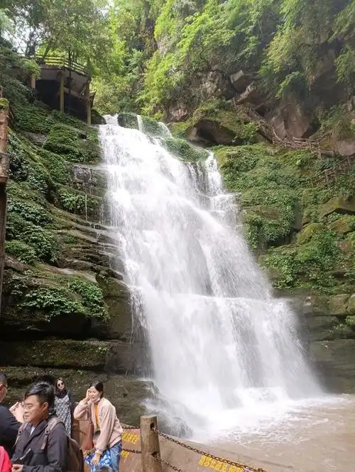 碧峰峡,国家5a级旅游景区,位于四川省雅安市雨城区碧峰峡镇.