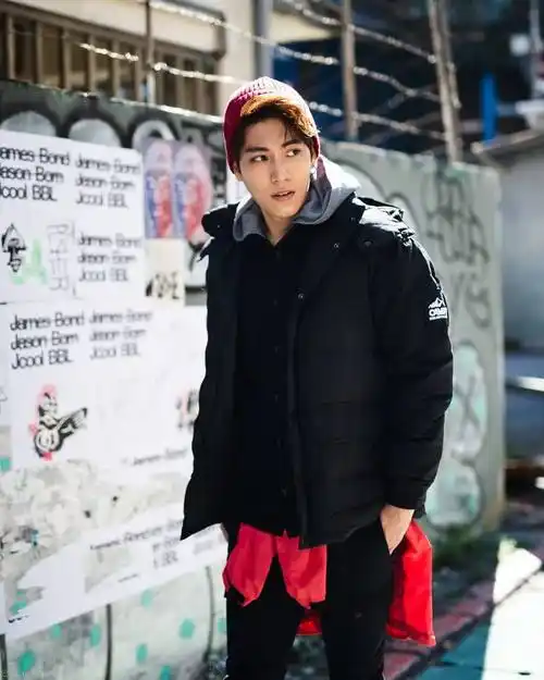 浓眉大眼标准帅哥清纯型男我老公林子闳的帅照收集.