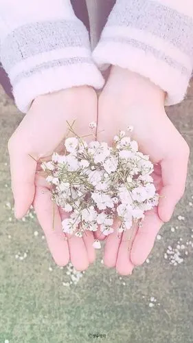 凉小葵の美物暖心治愈系壁纸给你的冬天带来温暖