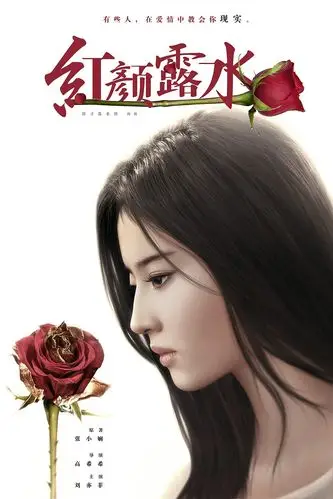 露水红颜 海报