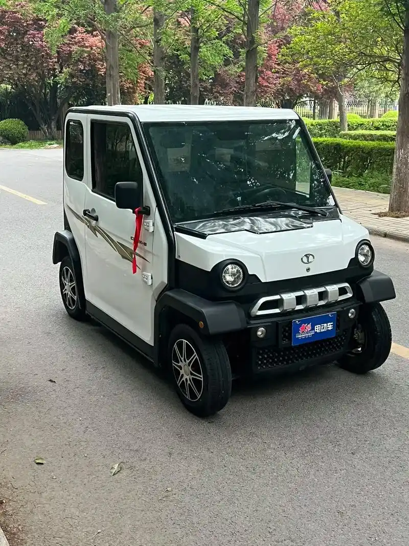 极品大阳全新电池#四轮低速电动车 - 抖音