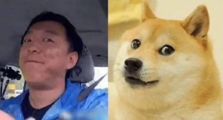 上一个让饭姐觉得这么像柴犬的人,还是回眸一笑的"塘主"张翰.