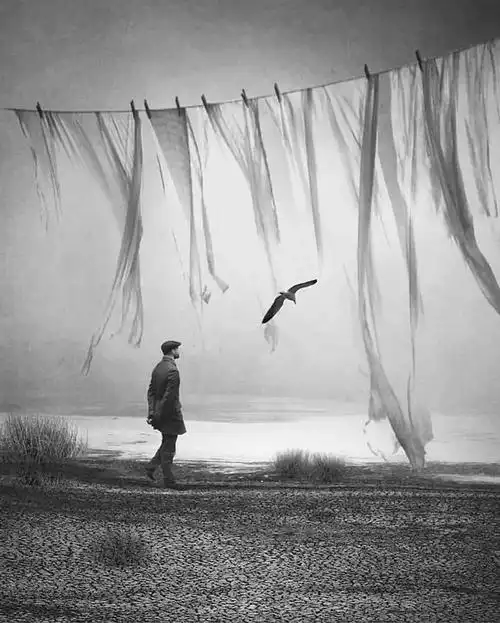 意境黑白照,诗一般优美 ···|黑白照片|影调|一首_网易订阅