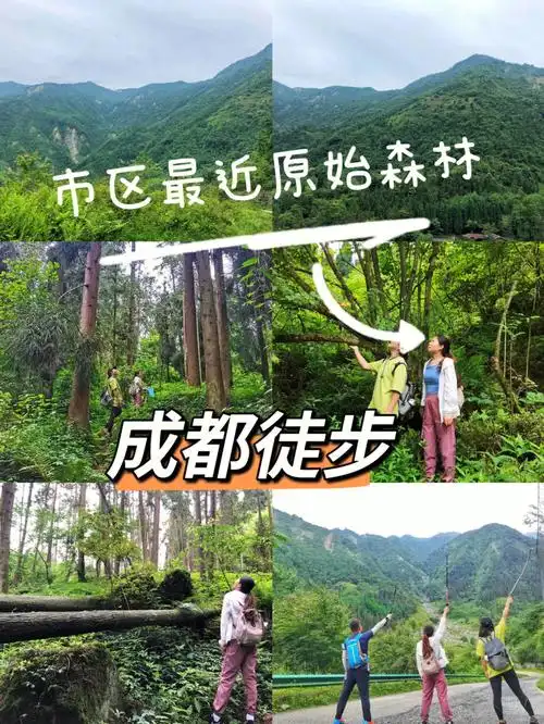 成都无人区徒步离市区一小时的原始森林
