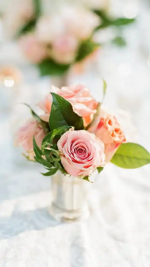 玫瑰- 堆糖,美图壁纸兴趣社区