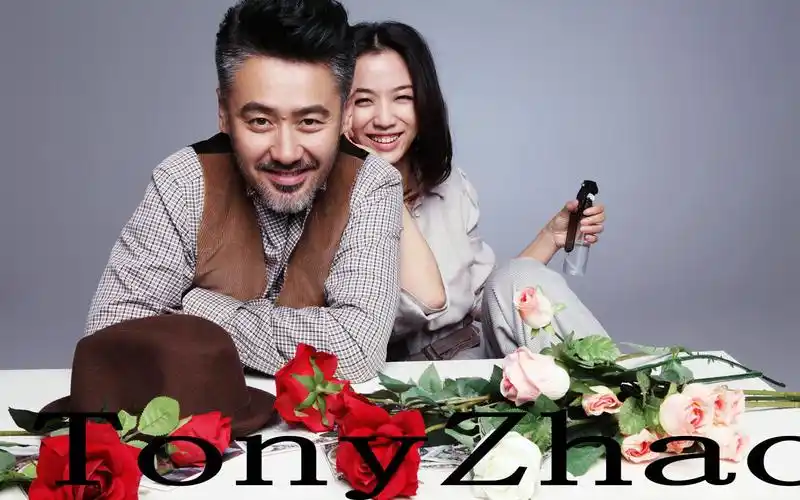 北京遇上西雅图汤唯与吴秀波甜蜜浪漫桌面壁纸