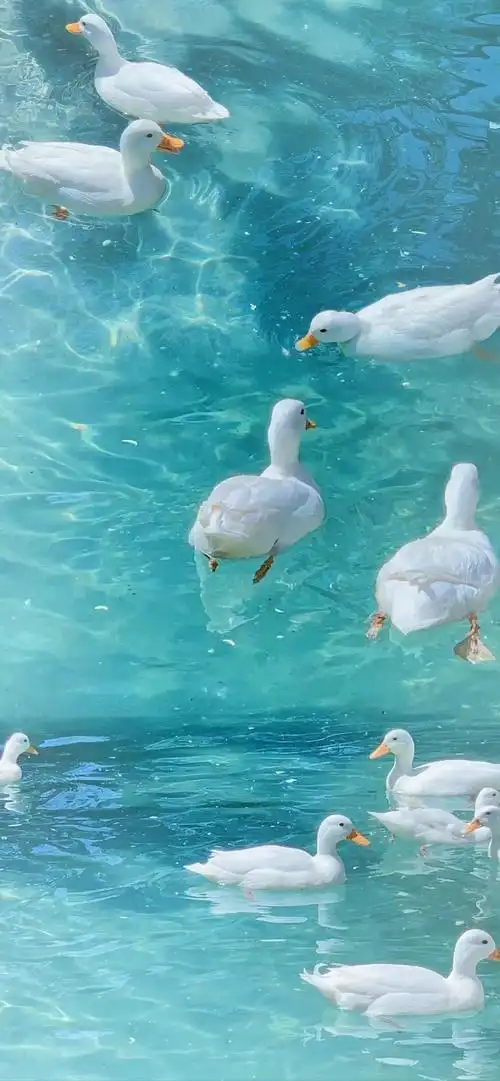 潮图壁纸|热门ins质感高级感小众夏日壁纸 - 知乎