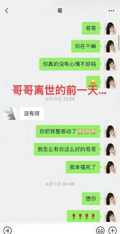 胖猫已火化##胖猫跳江事发地摆满鲜花汉堡