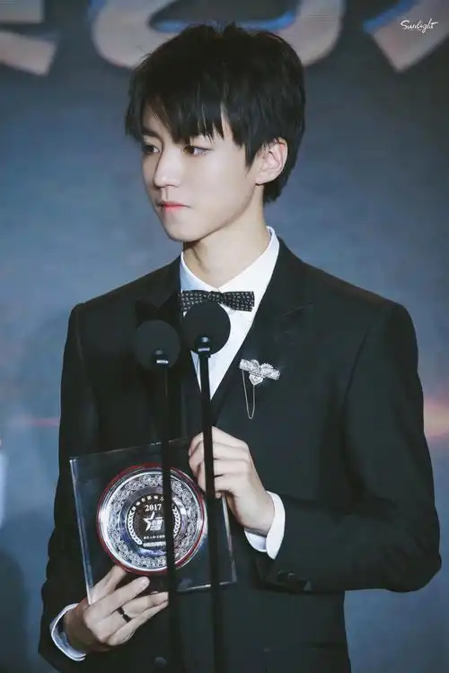 王俊凯##王俊凯2017年度演艺人物