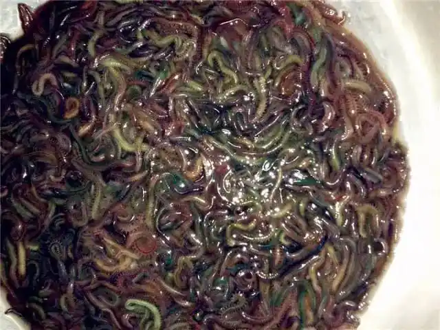 全世界vs广东,最恶心美食大pk