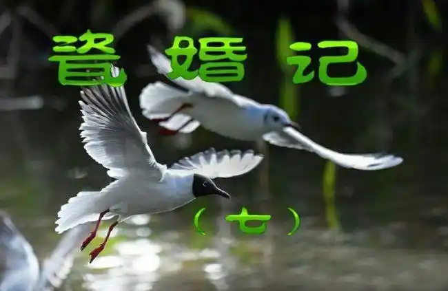 后来的我们│瓷婚记 (7)