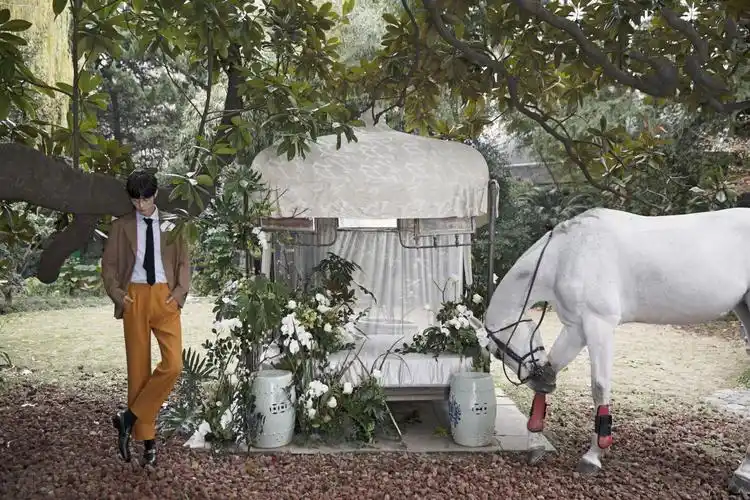 肖战 时尚芭莎 - 堆糖,美图壁纸兴趣社区