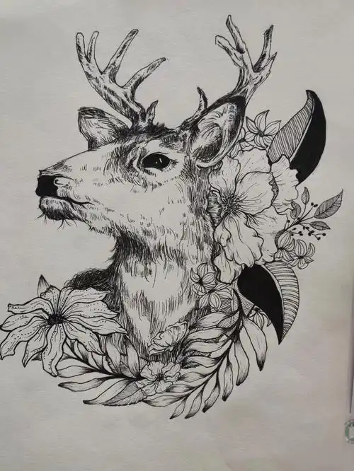 植物动物黑白线描