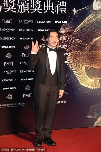 第52届台湾电影金马奖