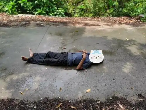 光天化日,兴业莫村村道上一老人躺在路中不起,咋回事?