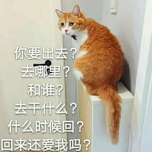 我是真的爱上你