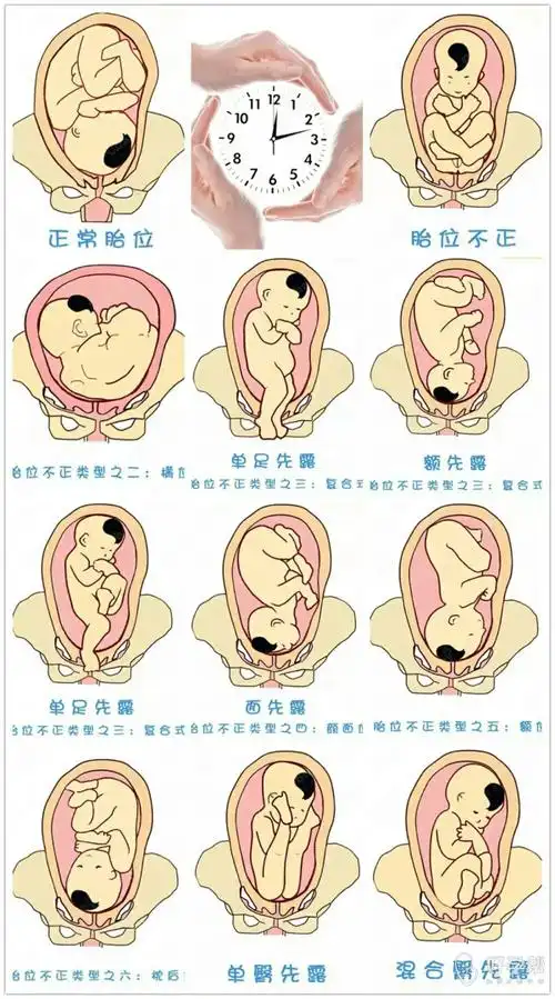 我的宝贝你要乖乖的足月顺利生产哦