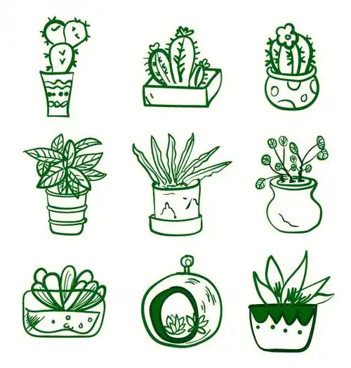 插画练习临摹可爱植物3自学画画手绘