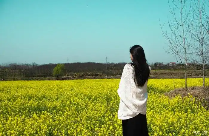 美丽的邂逅(油菜花与美女)