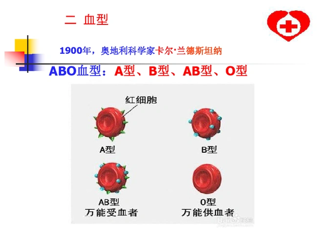 人教版七年级生物下册第四单元第四章《第四节 输血与血型》ppt课件