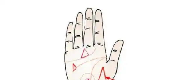 上的指纹,实际上大部分还是遗传性的比较多,并不是说在这个感情线上有