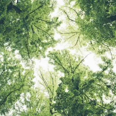 小清新唯美头像!_风景静物头像_我要个性网