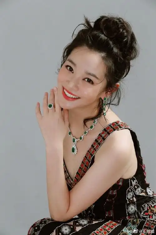 王维维心术演的谁云南副局长