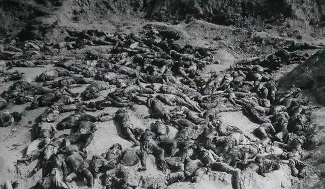 上甘岭战场缴获大量美军罐头,装的全是粪便,美:要怪就怪张桃芳