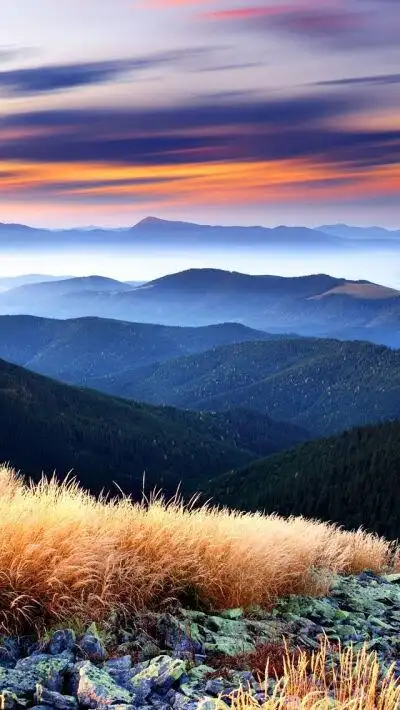 唯美 小清新 治愈 大气磅礴 摄影 人物 植物 怀旧 封面 风景