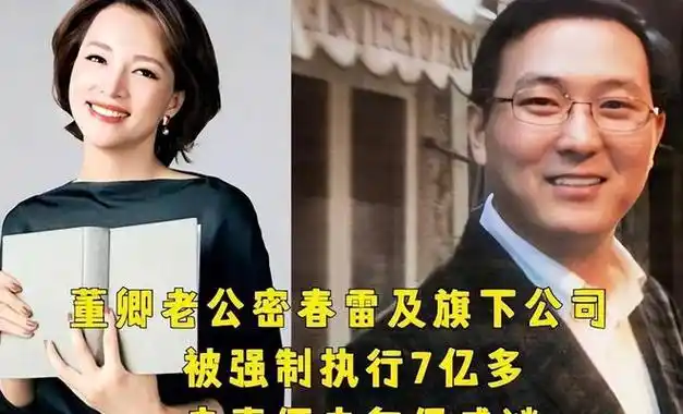 董卿悲情富豪老公债台高筑移民美国逃罪