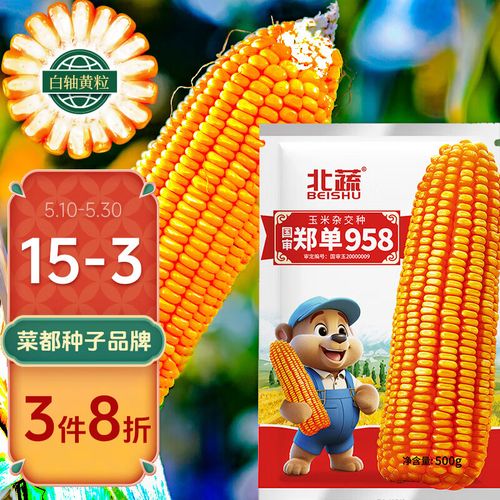北蔬玉米种子矮大棒抗旱抗倒 北蔬郑单958玉米种子 500g/袋