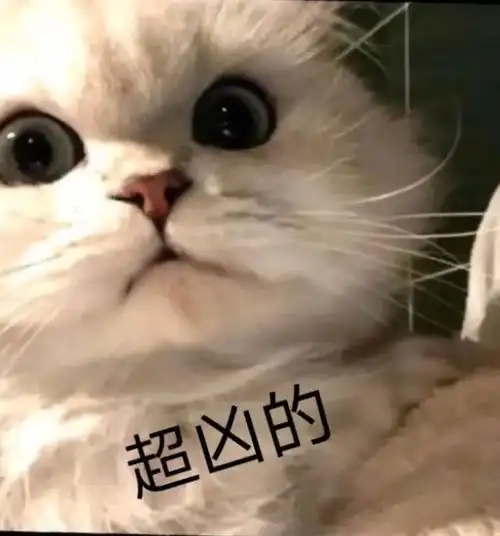 忧伤的小猫表情包大全聊天图片表情