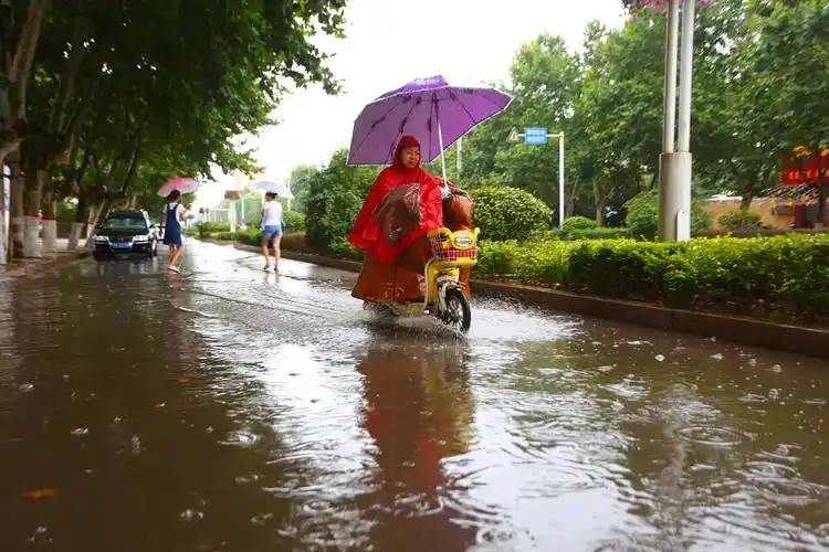 图为:枣庄市山亭区市民在府前路上冒雨出行.