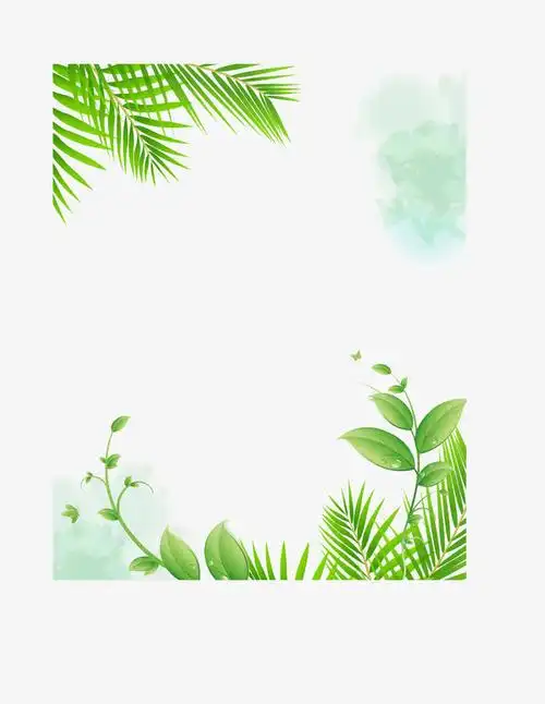 手绘树叶装饰边框矢量图