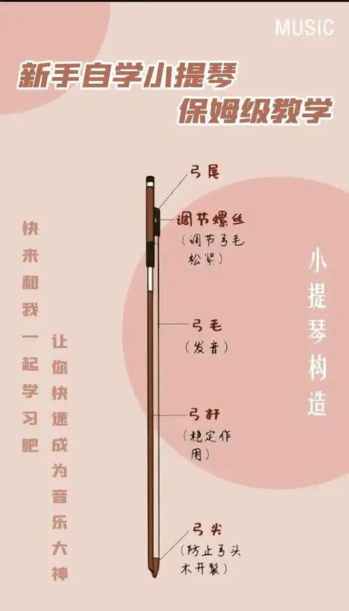 95小提琴各部位名称大揭秘!