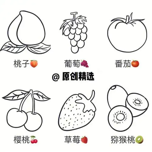 水果简笔画概括|涂色控笔练习|儿童绘画