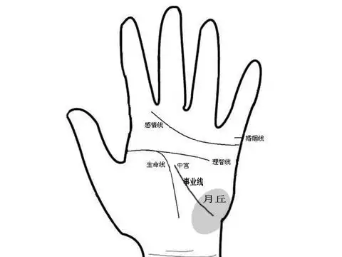 图解八:事业线一支起自于掌心,另一支起自于月丘,表示此人不怕艰苦