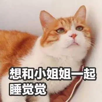 【晚安猫】gif动态图片 - 晚安猫动图表情包下载 - soogif动图