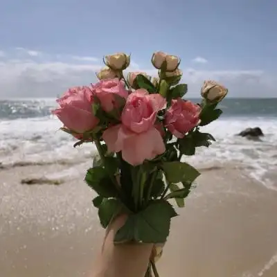 吉祥好运风景微信头像一念一尘缘つ