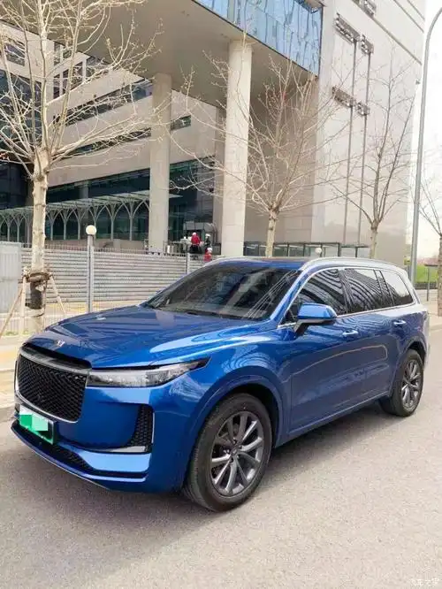 坛子里蓝色的理想one好像不多?我来露个脸!