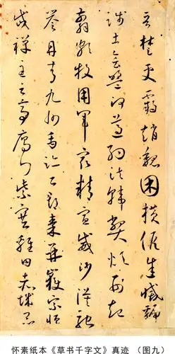 怀素真迹草书千字文面世震惊中外