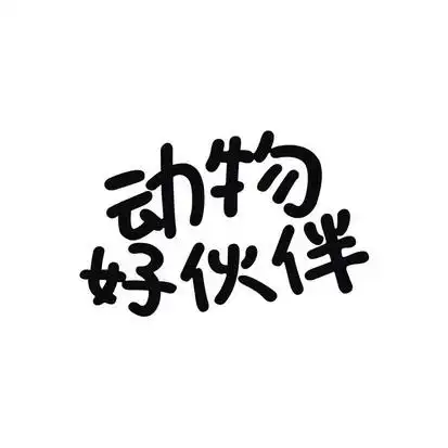 动物好伙伴