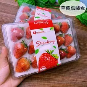 盒12粒15粒20粒头装透明塑料打包盒子草莓产地打包一次性草莓包装