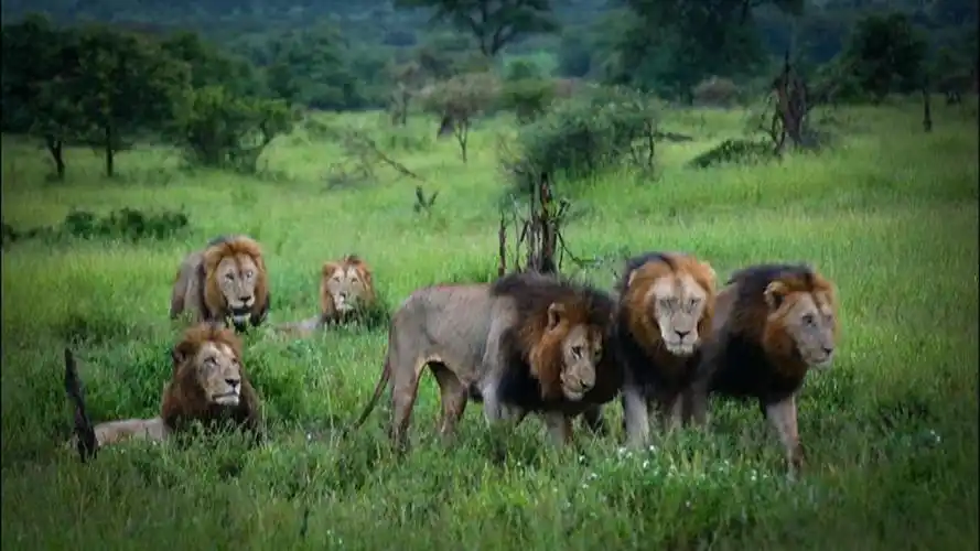 坏男孩联盟十五终联盟落幕