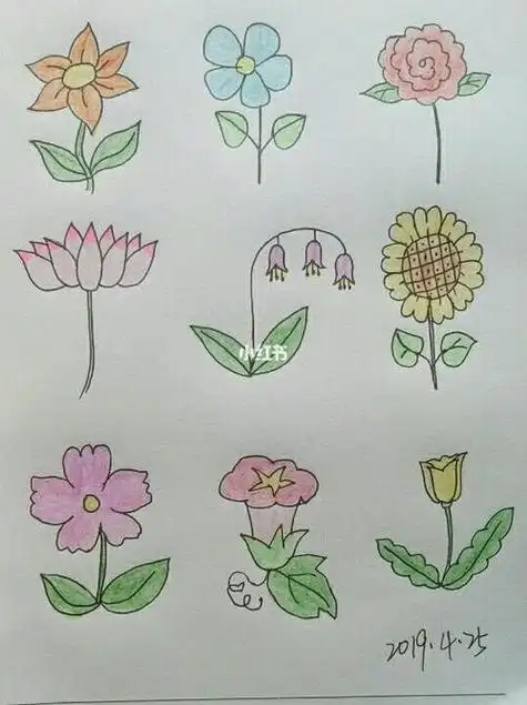 各种花卉简笔画96简笔画花卉彩色铅笔铅笔手绘简笔画教程
