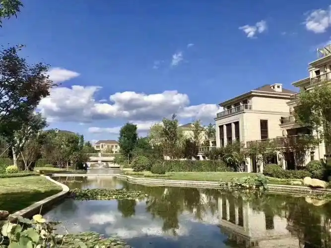 纯地上格局,花园临水系瀑布#恒大丽宫  #财富公馆城堡别墅  #远洋