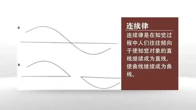 心理学概论第三节之感觉与知觉