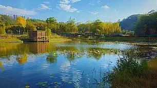 真实汽车摄影图片