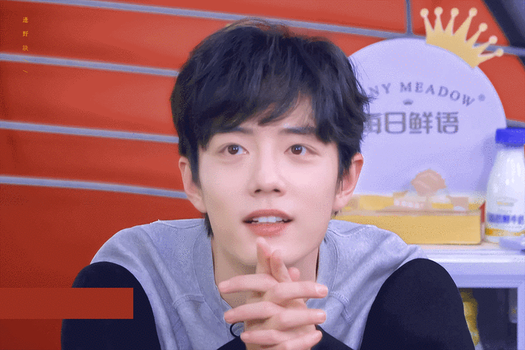 肖战- 堆糖,美图壁纸兴趣社区