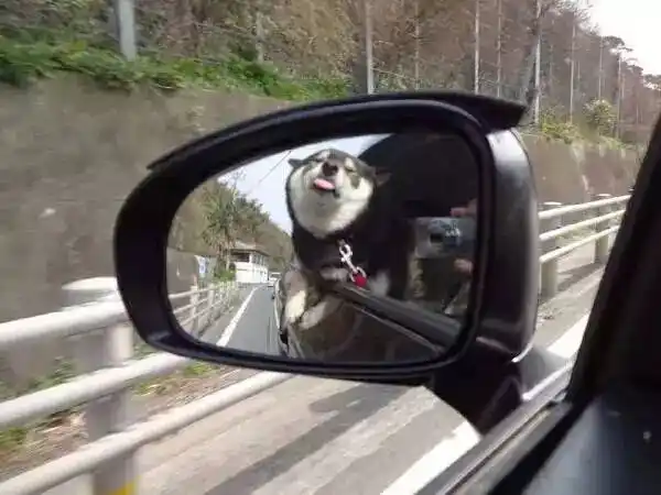 为什么朋友圈这么多在豪车里自拍的人?